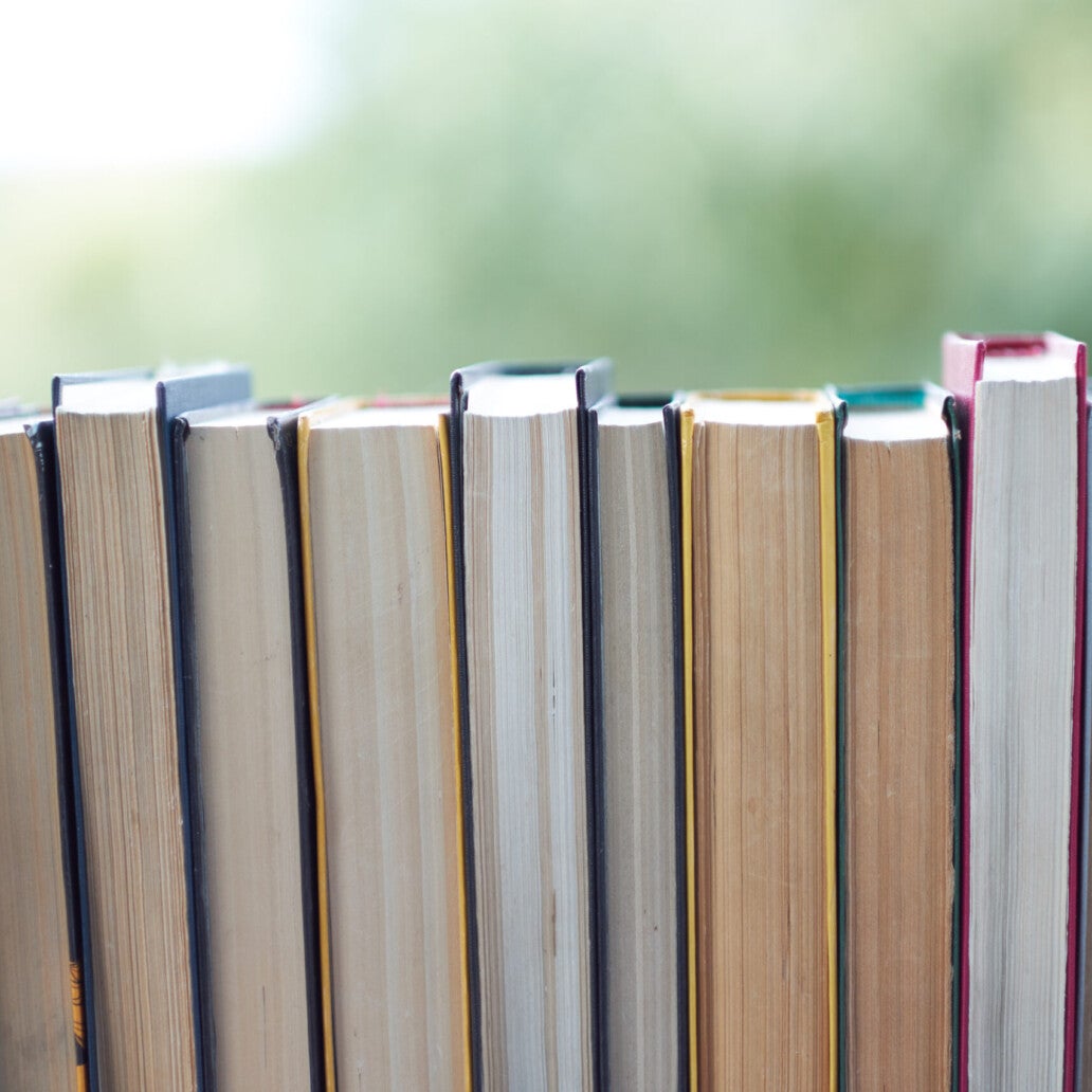 Books lined up in a row, pages facing outward.