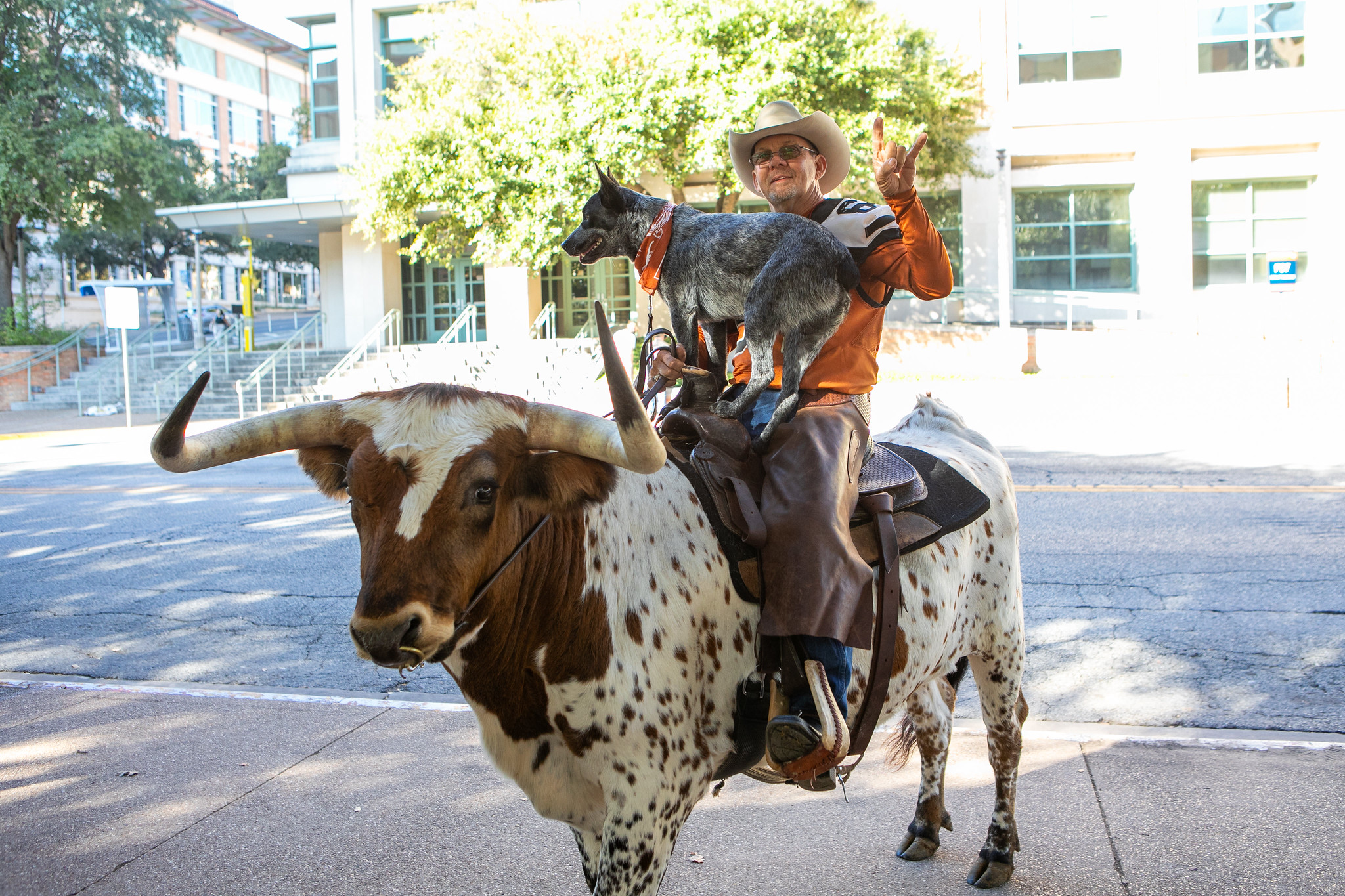 PGE alumnus sitting on Longhorn with dog in his lap.