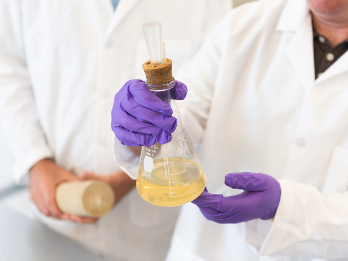 Researchers gloved hands holding a beaker filled with yellow liquid.