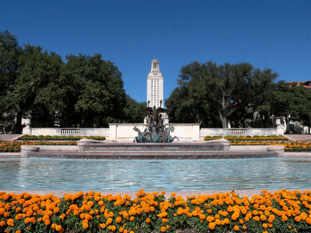 UT Tower on UT Austin campus in the distance with a flowerbed and water fountain.