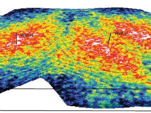 Integrated Reservoir Characterization